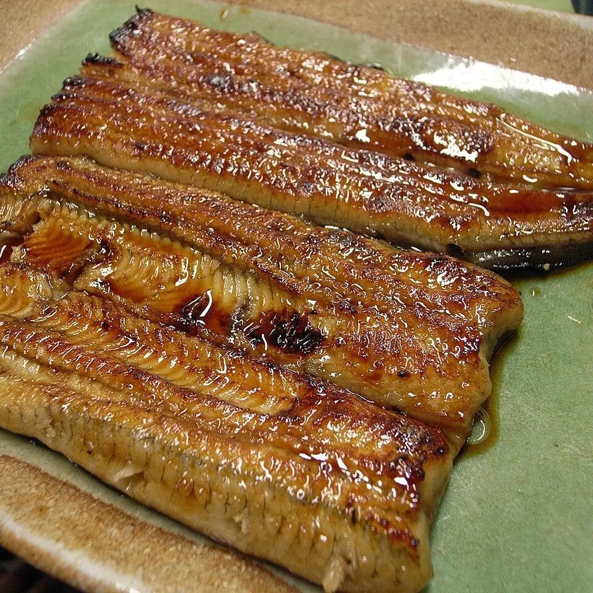 Eel (unagi) 9 oz