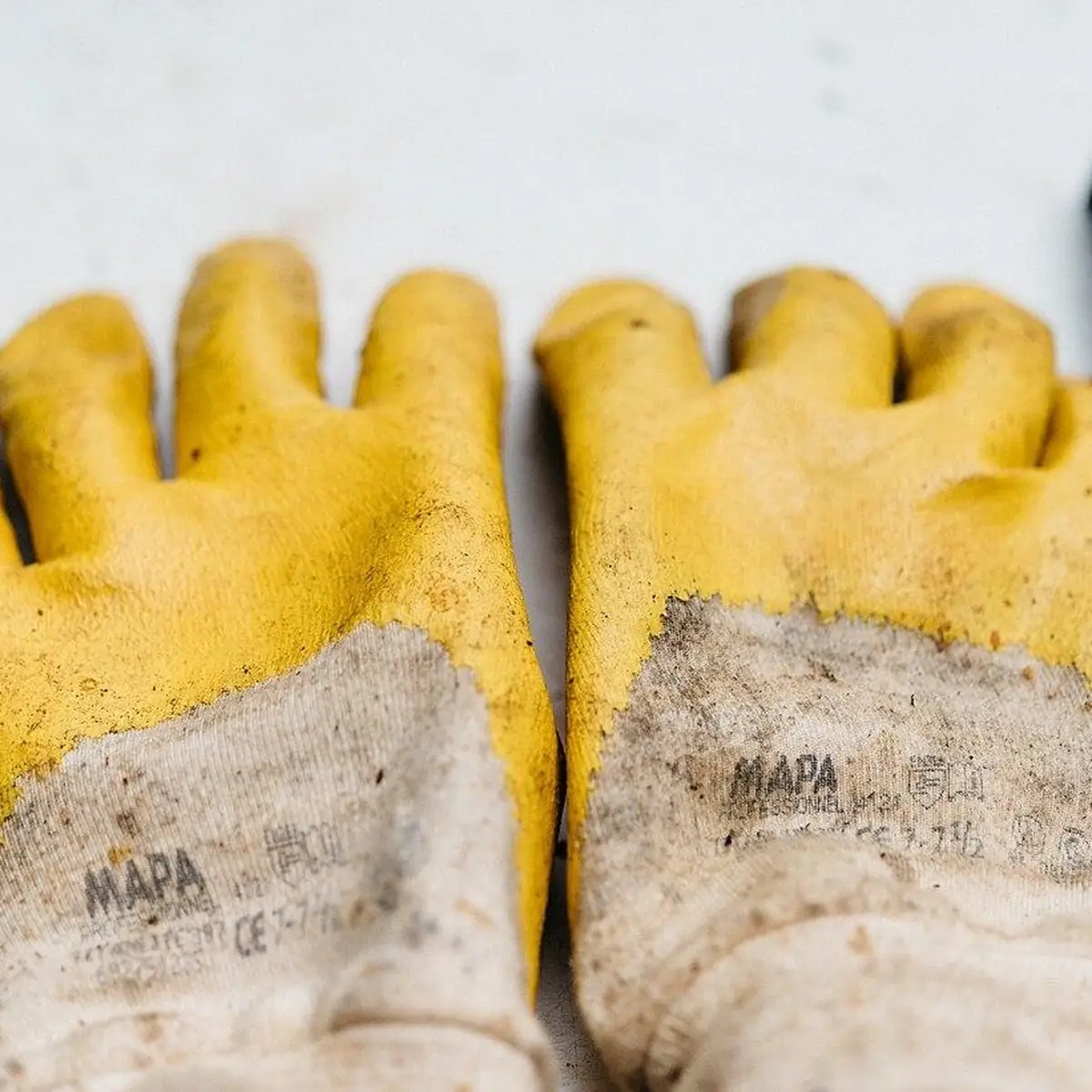 Household gloves, large