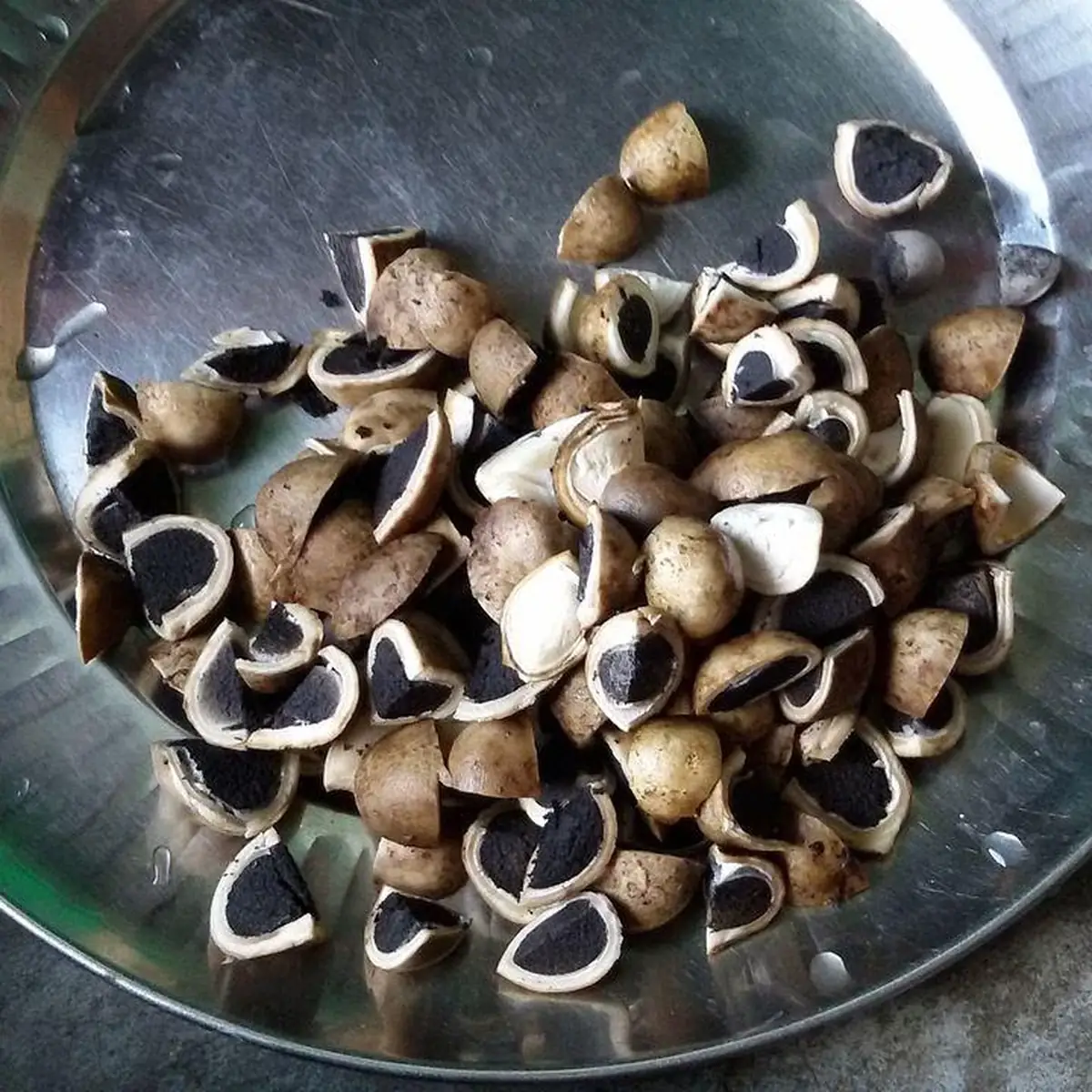 Golden — Champignons émincés 600 g
