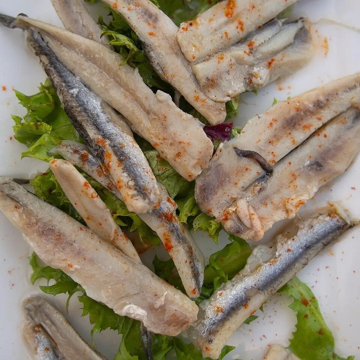 King — Marinated anchovy fillets 750 g