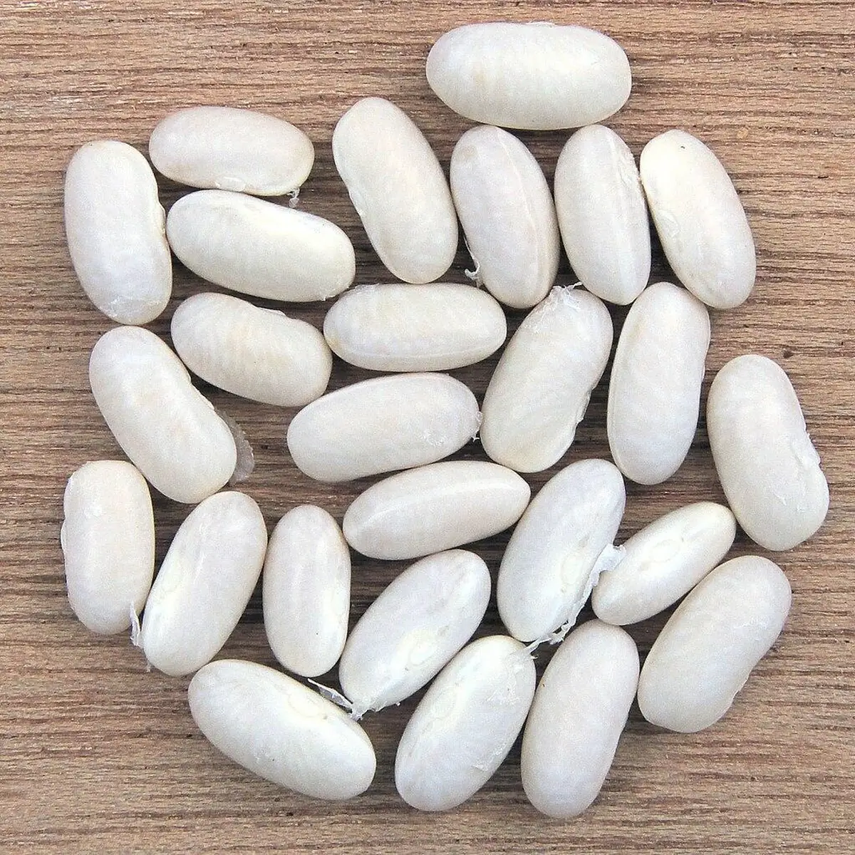 Milady — White beans 1 kg