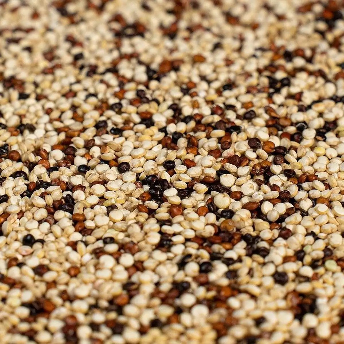 Milady — Red quinoa 250 g
