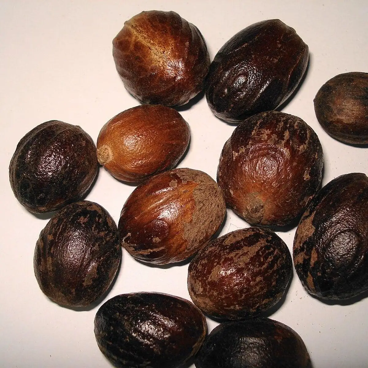 Whole nutmeg Per kg