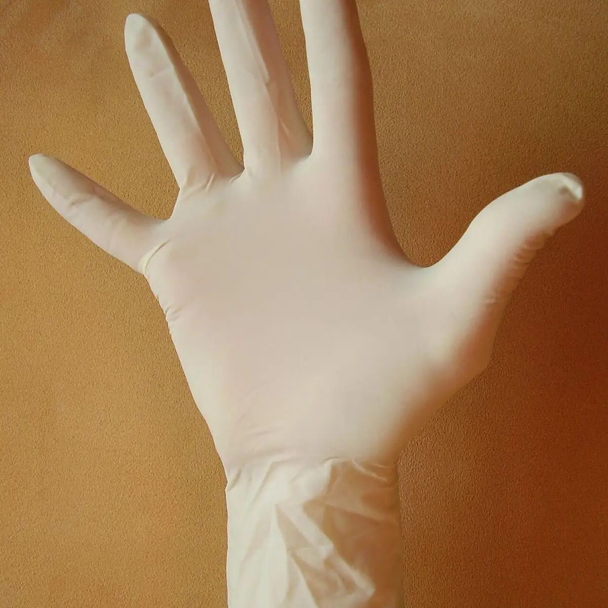 Touchflex — Gants vinyle blancs non poudrés Taille L